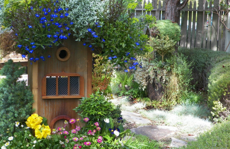 Bird House Garden at Cambria Pines Lodge.