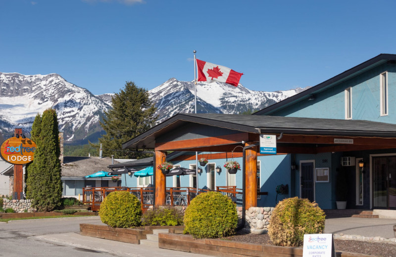 Exterior view of Red Tree Lodge.