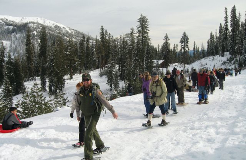 Snowshoeing near St. Bernard Lodge.