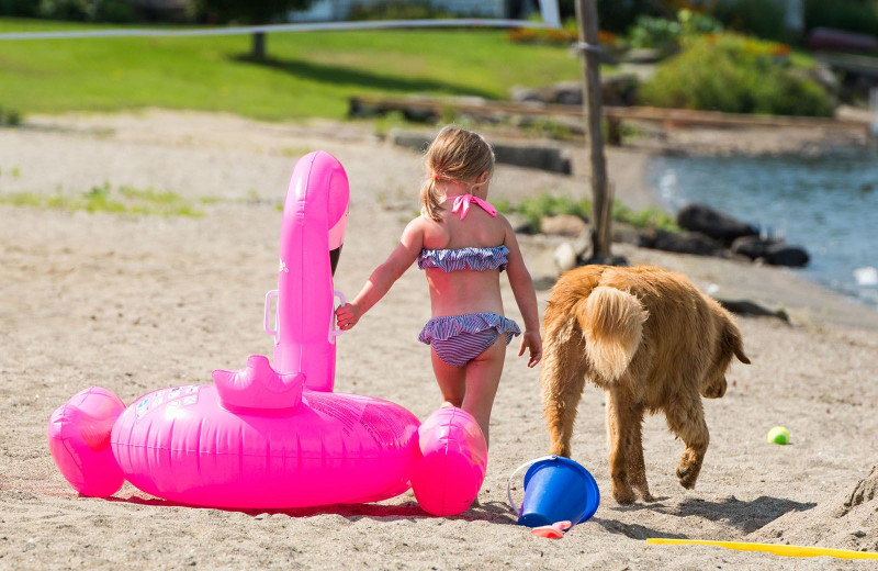 Kids-friendly sandy beach on the eastern shores of international Lake Wallace at Jackson's Lodge and Log Cabin Village, Canaan, Vermont's Northeast Kingdom.