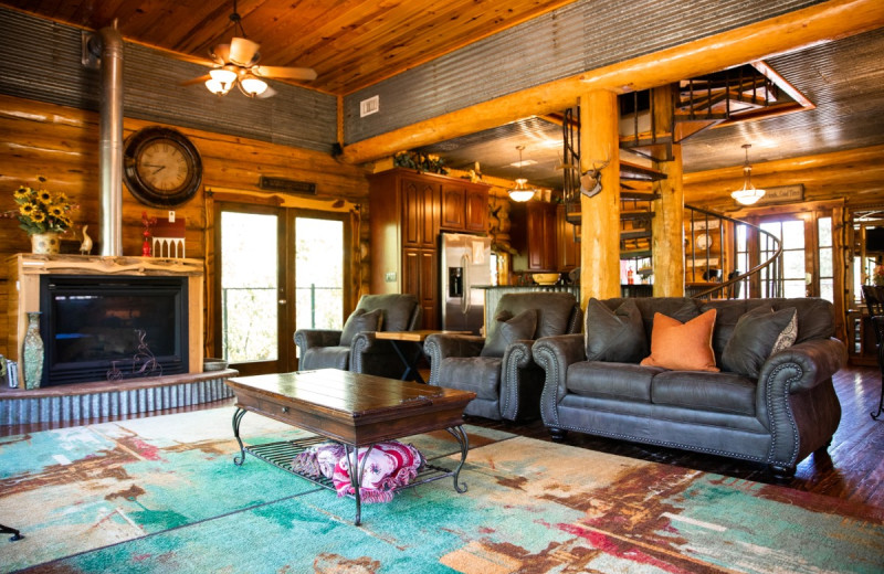Guest living room at Log Country Cove.