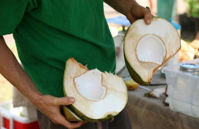 Coconut demonstration at Lumeria Maui.