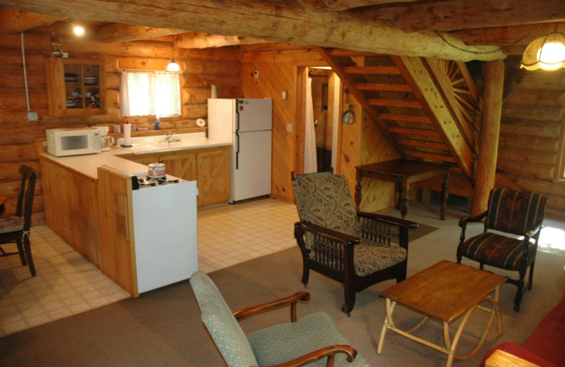 Cabin kitchen at Heston's Lodge.