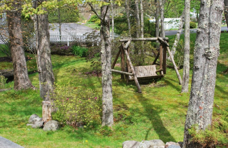 Swing at Cedar Crest Inn.