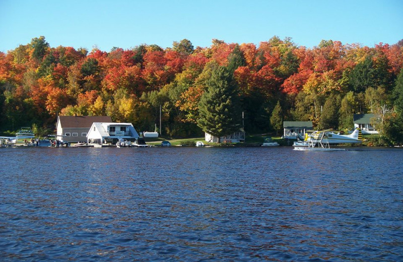 Lake view at Northern Lights Resort.
