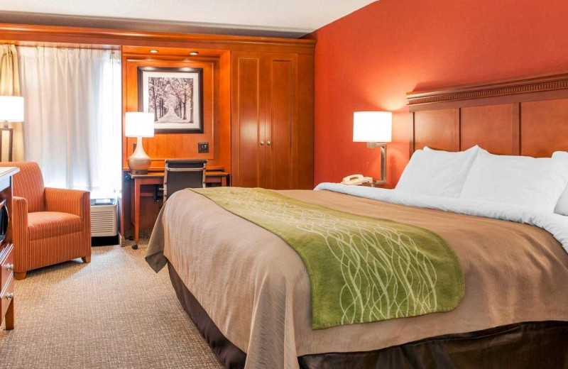Guest room at Comfort Inn Oxford.