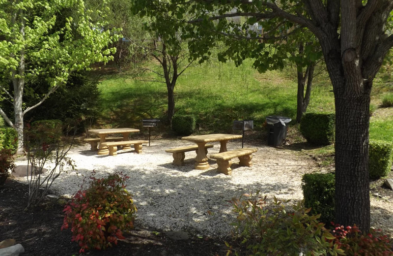 Picnic tables at Golfview Vacation Rentals.