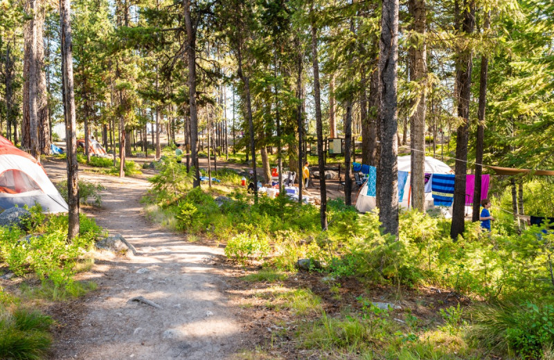 Campground at North Shore Lodge & Resort.