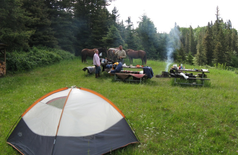 Campsite at Trailhead Ranch.