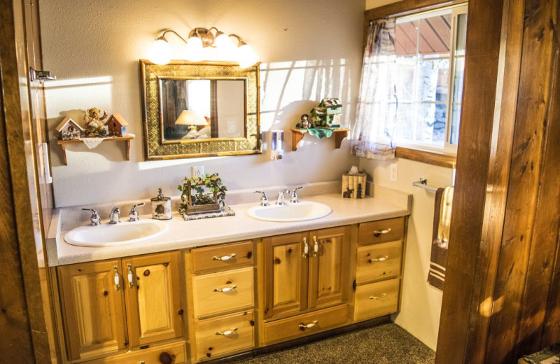 Bathroom at Alpine Forest Lodge.