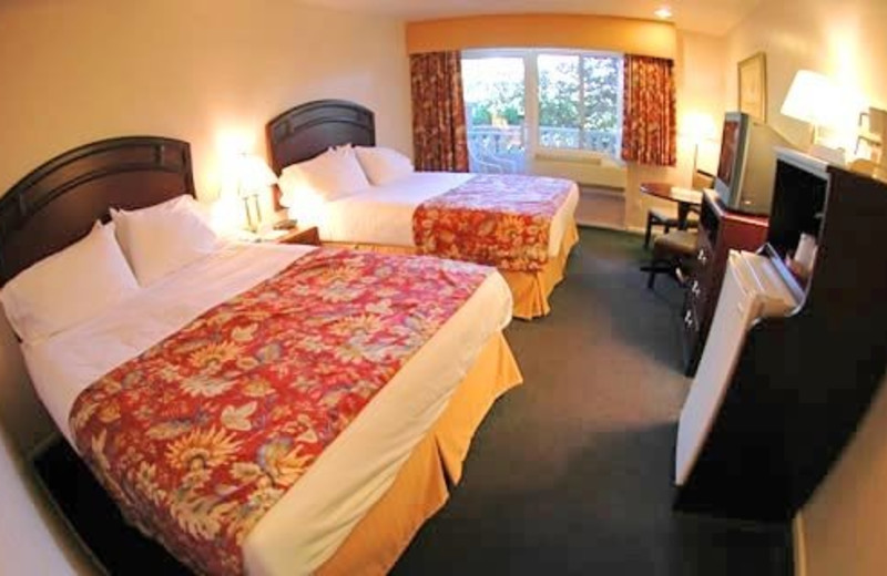 Guest room at Forest Villas Hotel.