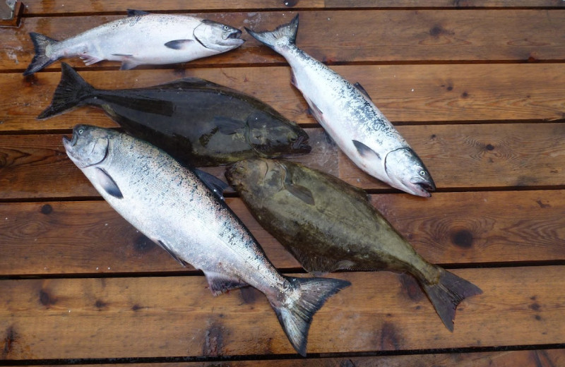 Fishing at Clayoquot Wilderness Resort.