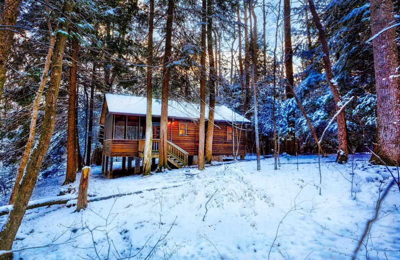 Winter at Opossum Creek Retreat.