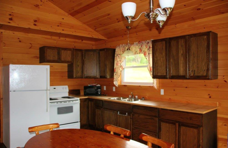 Cabin kitchen at Fernleigh Lodge.