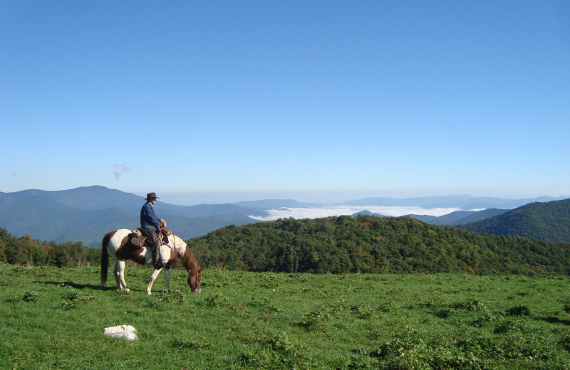 Horseback riding at Cataloochee Ranch.