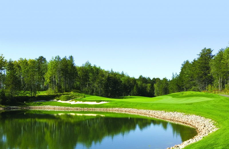 Golf course near Timber Bay Lodge & Houseboats.