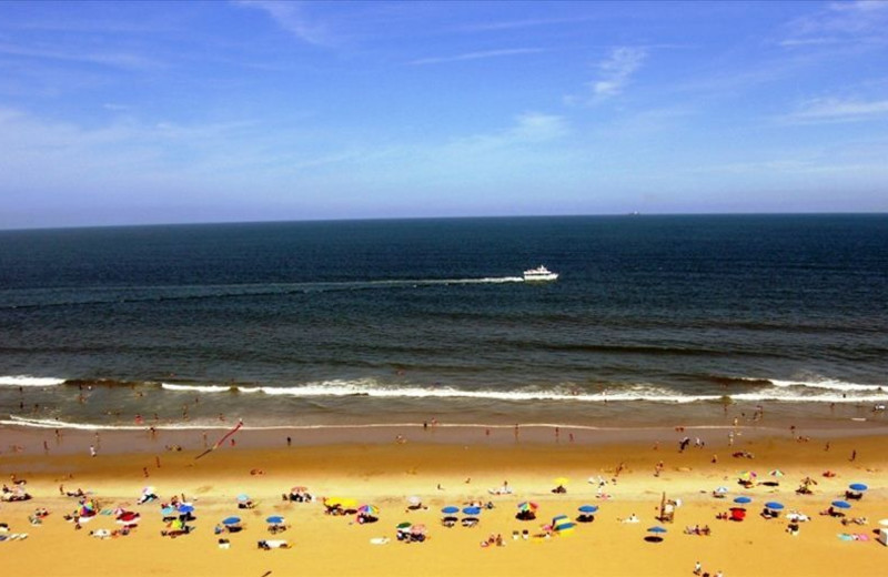 Beach at Dolphin Run Condominium Association. Inc.