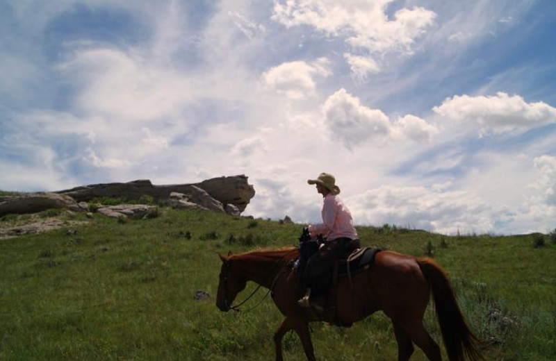 Horseback riding at Colorado Cattle Company Ranch.