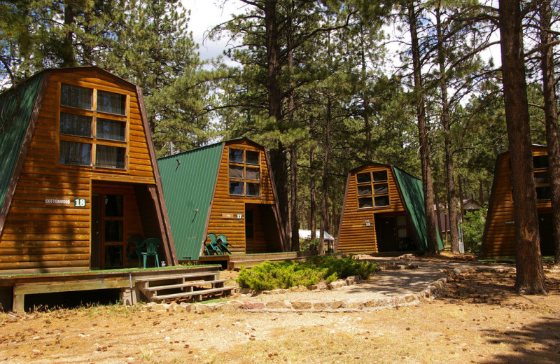 Cabins at Echo Basin Cabin And RV Resort.