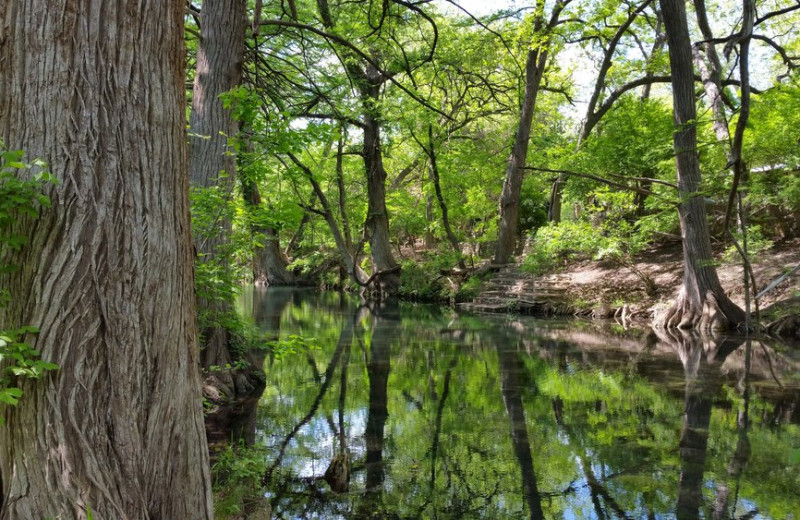 Creek near Wimberley Inn.