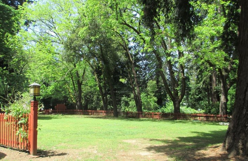 Grounds at Redwood Resort.