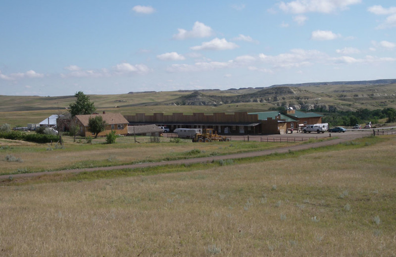 Buffalo Gap Guest Ranch and Trailhead (Medora, ND) Resort Reviews