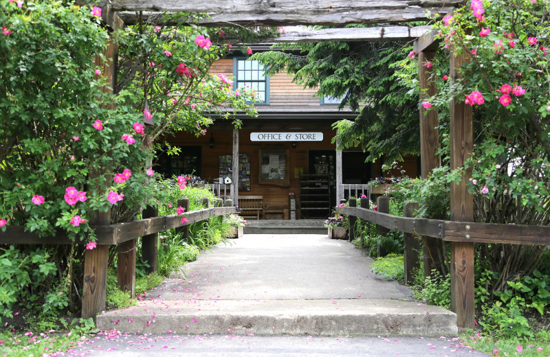 Exterior view of Glen Ellis Family Campground.