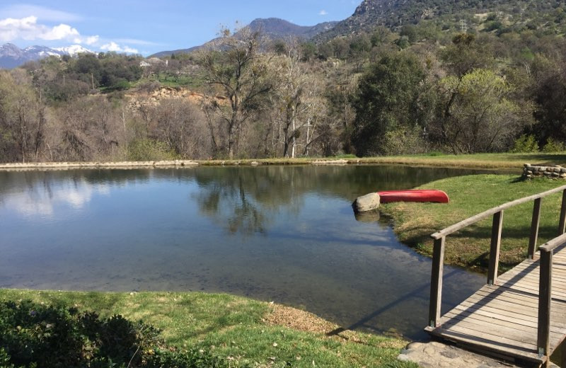 Lake view at Lake Elowin Resort.