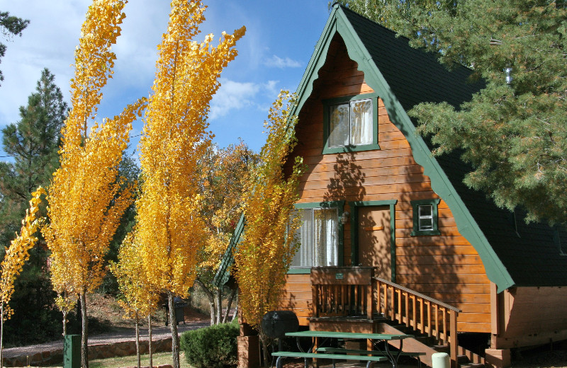 Cabins On Strawberry Hill Strawberry Az Resort Reviews