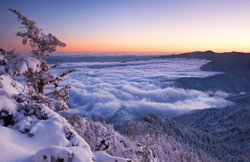 Beautiful scenery at American Patriot Getaways, LLC.