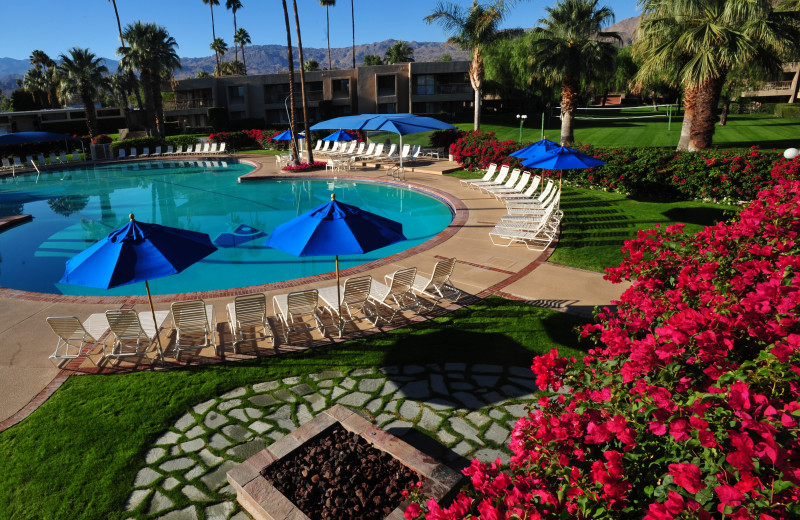 Outdoor pool at Shadow Mountain Resort & Club.