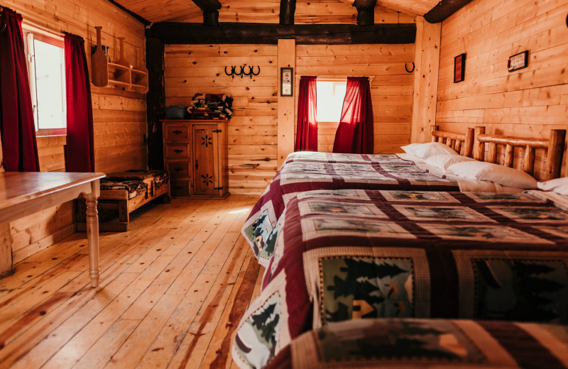 Cabin beds at Trappers Lake Lodge & Resort.