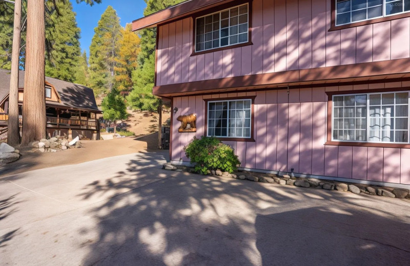 Exterior view of Cozy Bear Cottages.