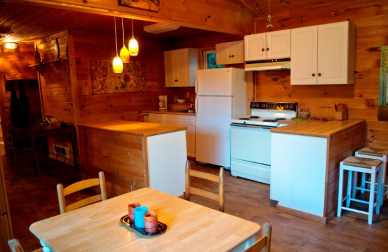 Cabin kitchen at Cabins in Hocking.