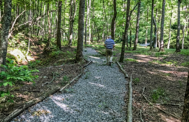 Trail at Asheville Cabins of Willow Winds.