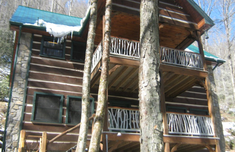 Cabin at Cherokee Mountain Cabins