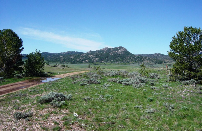 Surrounding Area at The Sugar & Spice Ranch