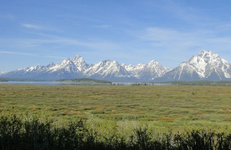 Scenic mountains at Jackson Lake Lodge.