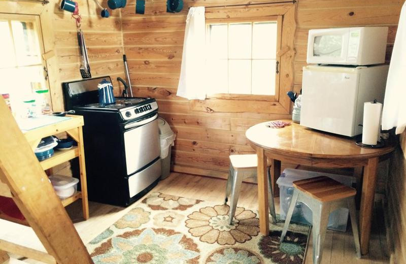 Cabin kitchen at Black Lantern Resort and Retreat.