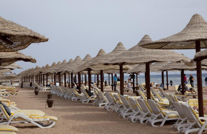 The beach at Coral Beach Montazah.