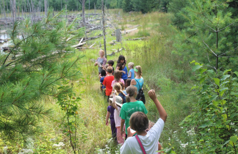 Hikes at Pehrson Lodge Resort.