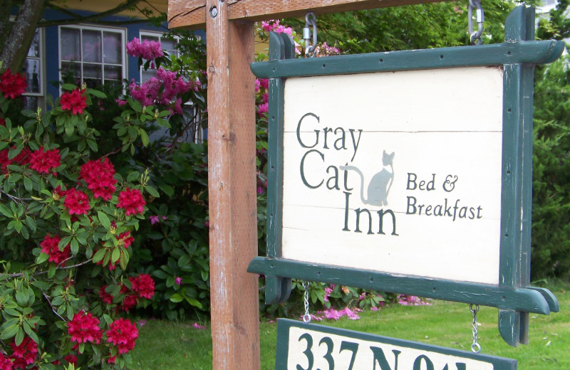 Exterior view of Gray Cat Inn.