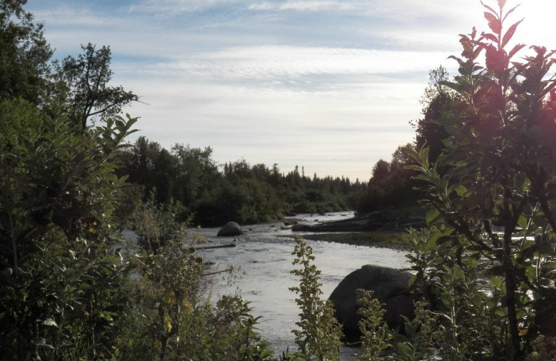 Scenic view at Sleepy Bear Cabins.