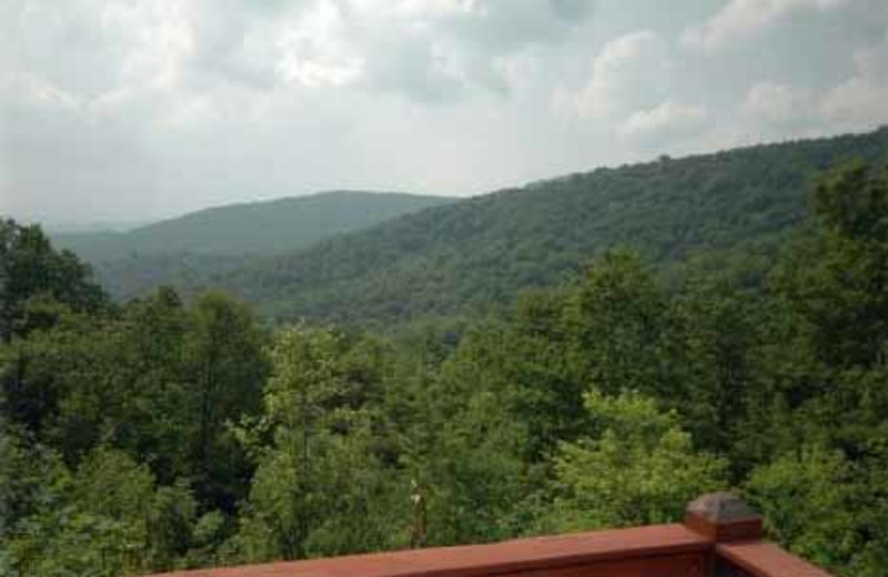 Mountain View at JP Ridgeland Cabin Rentals
