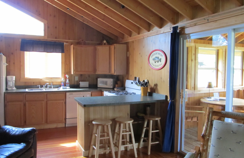 Cabin kitchen at Niemeyer's Rugged River Resort.