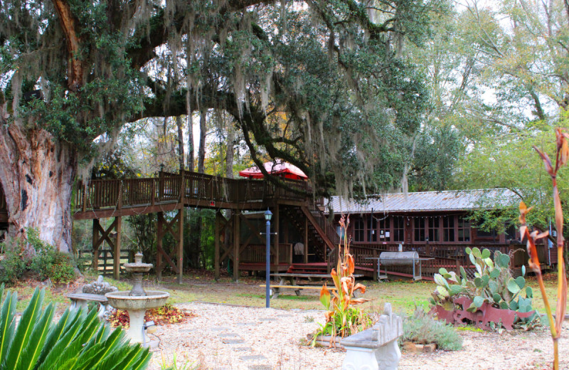 Exterior view of Berry Creek Cabins.