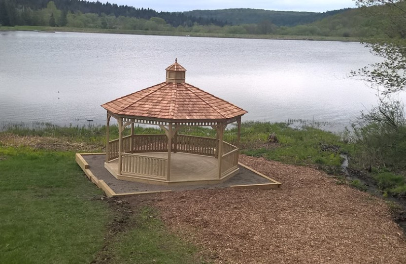 Lake view at The Woods At Bear Creek Glamping Resort.