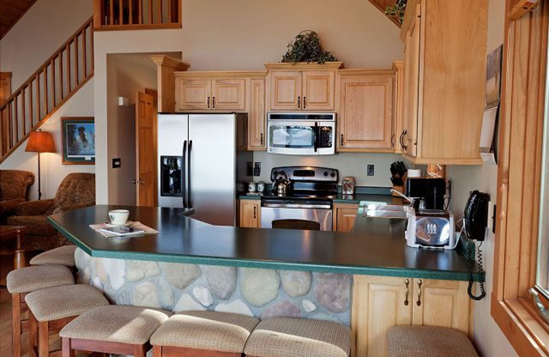 Rental kitchen at The Conger Collection.