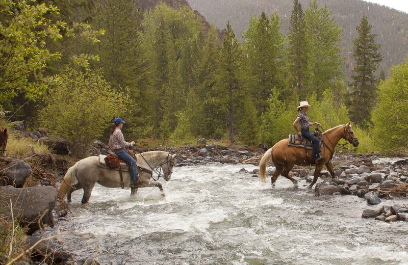 Horseback riding at Absaroka Mountain Lodge.