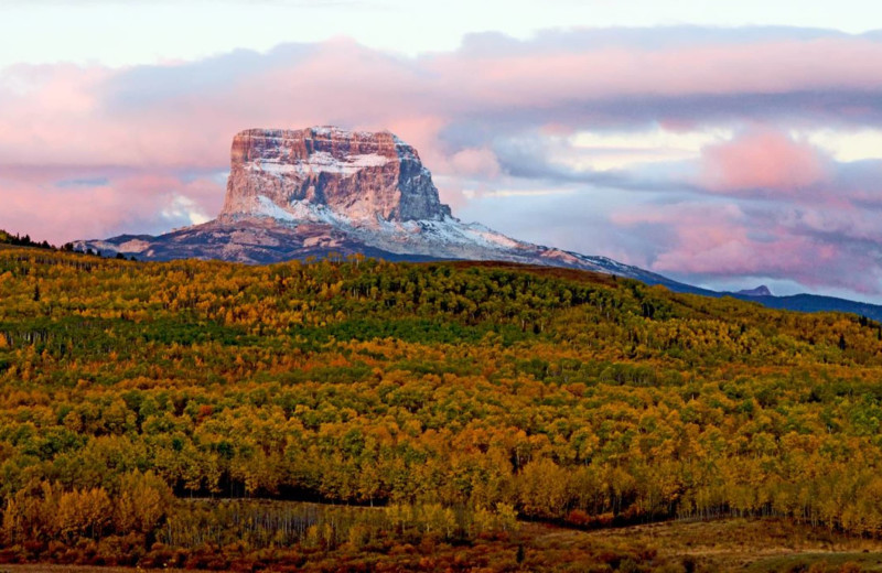 Fall at Kandahar Lodge.